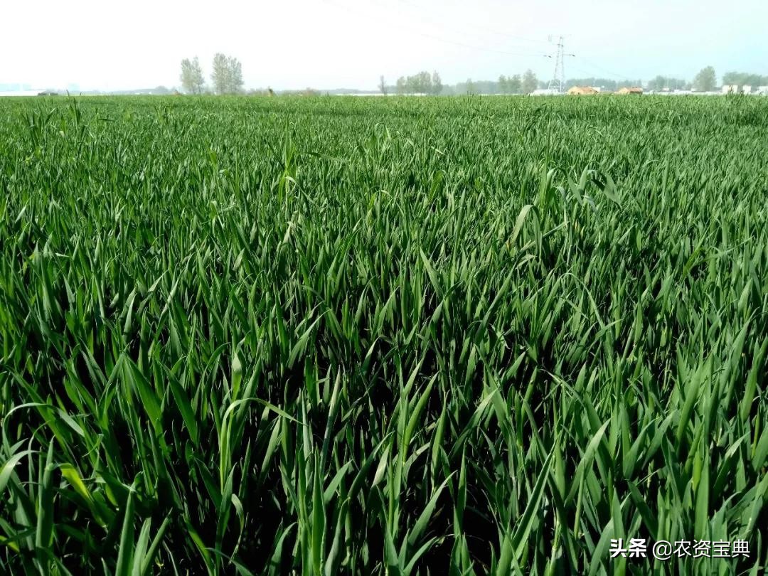 农事天气预报,最新农事报道