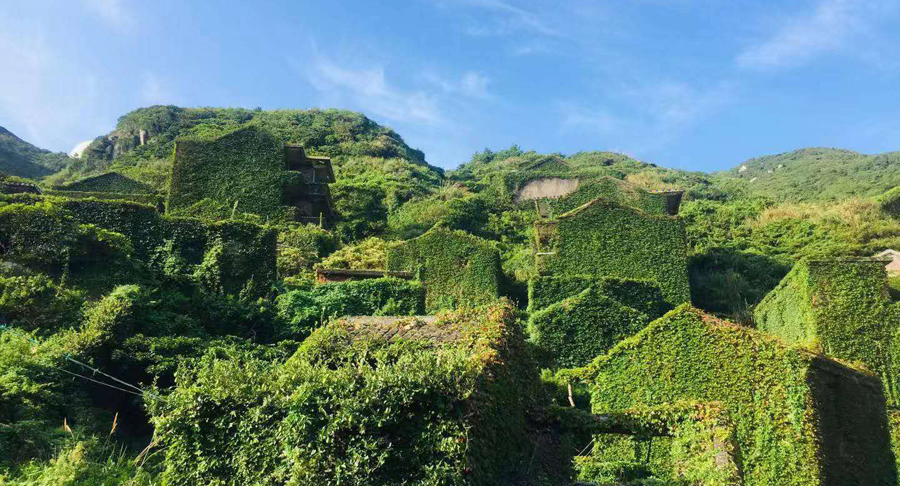 枸杞岛海岛旅游,美丽的枸杞岛之旅