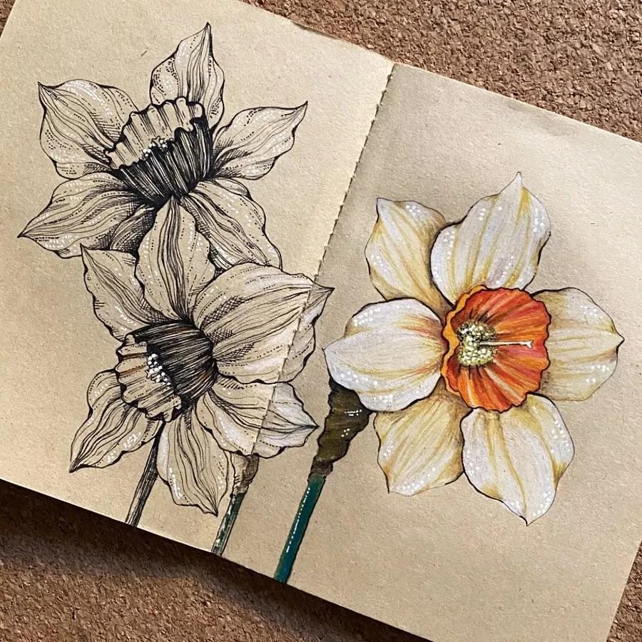 一看就懂的针管简笔画,针管笔入门手绘1000例临摹图