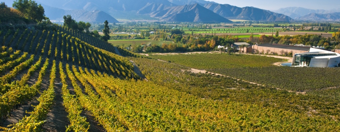 540+国家展团品牌商集结2021成都TAOWINE酒店展