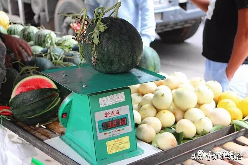 弥勒千亩西瓜熟了！黄心瓜、红心瓜、小香瓜…你喜欢哪种？