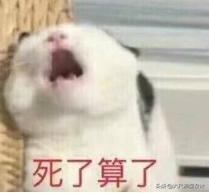 朱碧石老干妈,朱碧石跳舞完整版