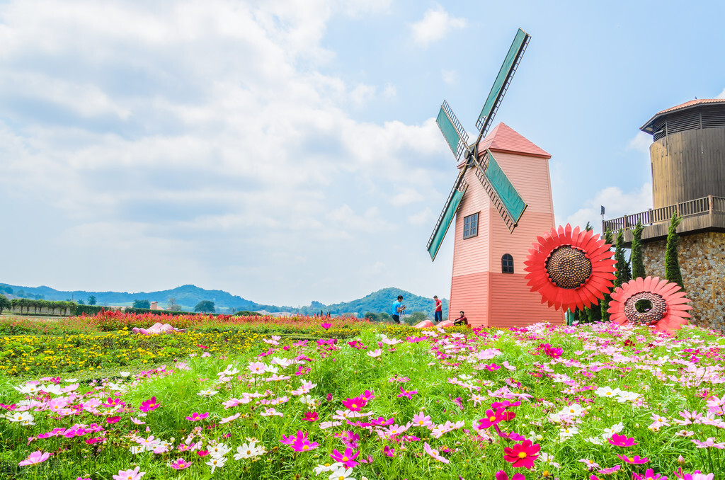 三十条冷知识大全,荷兰100条冷知识