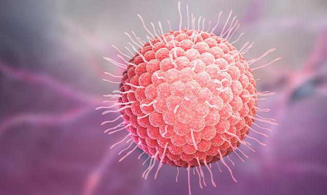 水痘的讲解,关于水痘科普小知识视频