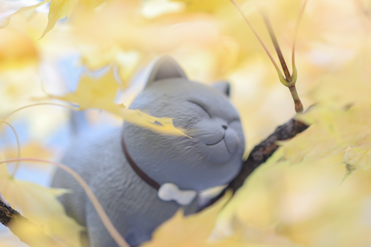 佳能eosm200测评,相机推荐入门佳能eosm200