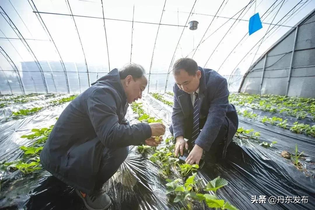 高速通畅吗,高速修通有什么商机