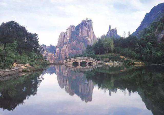 你知道的安吉白茶,有关福鼎白茶的资料