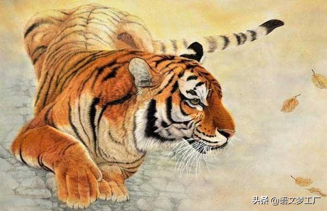 十二生肖成语大全带图片,十二生肖成语之生肖篇