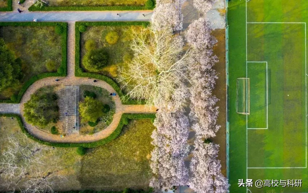 堪比名校的大学,堪比211的全国一百所大专