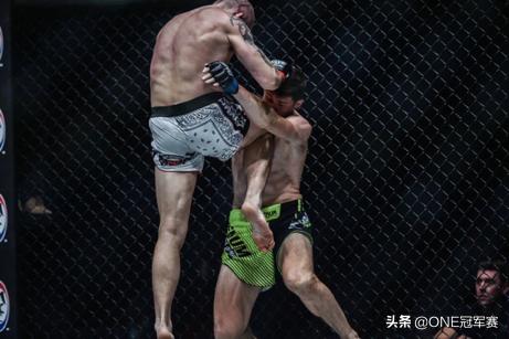 后记的主要内容和感悟,后记写法