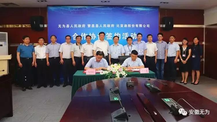 安徽省无为市比亚迪老总王传福,王传福老家是无为哪个镇人