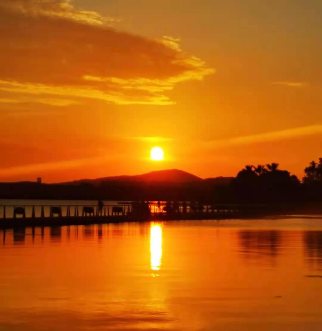 手机摄影手册圈友作品选第7期,手机摄影手册圈友作品选第6期