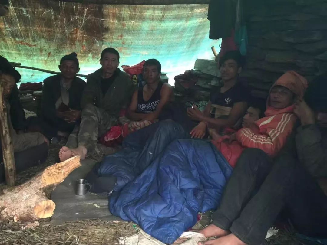 80后山东人闯荡金三角，不惧枪口顶额头，在牛棚直播卖光凤梨