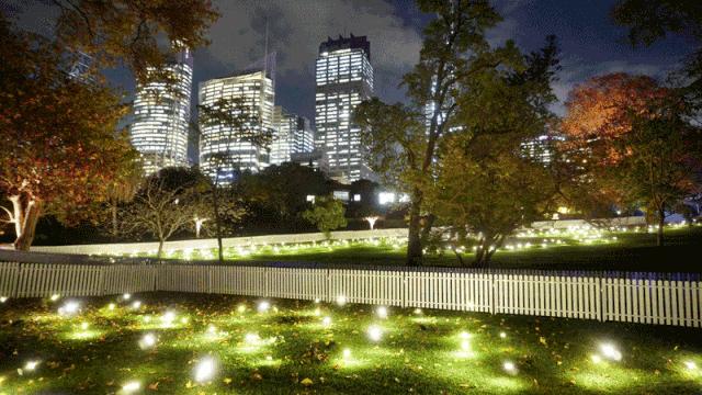 美得足以让人忘记时间流逝,美得让人静止的瞬间