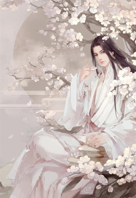 剑来陈平安是什么境界的剑修,剑来陈平安在多少章才成为剑修