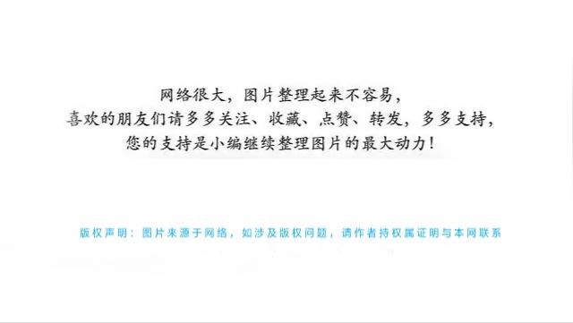 手机壁纸\无论你正在经历什么，都不要轻易放弃