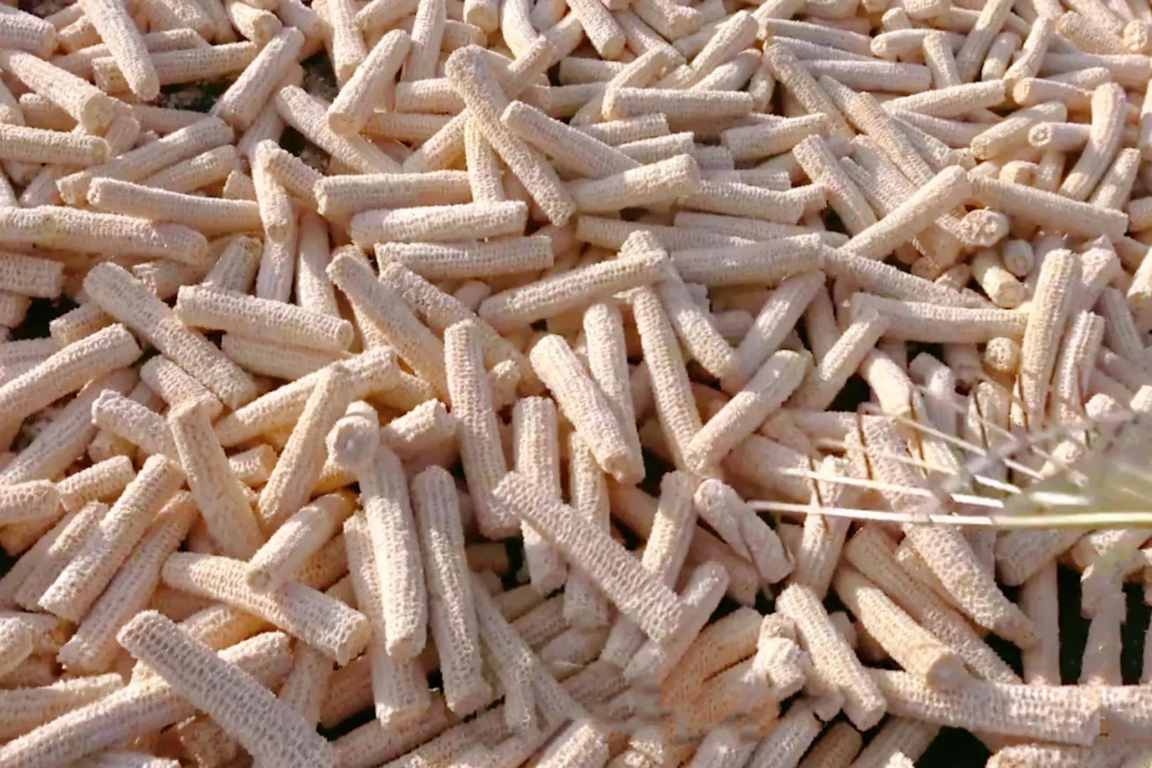 玉米芯儿在韩国怎么吃,玉米芯韩国食用