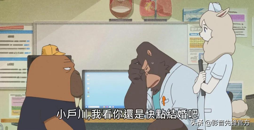 黑马新番推荐，这才是成年人该看的动漫