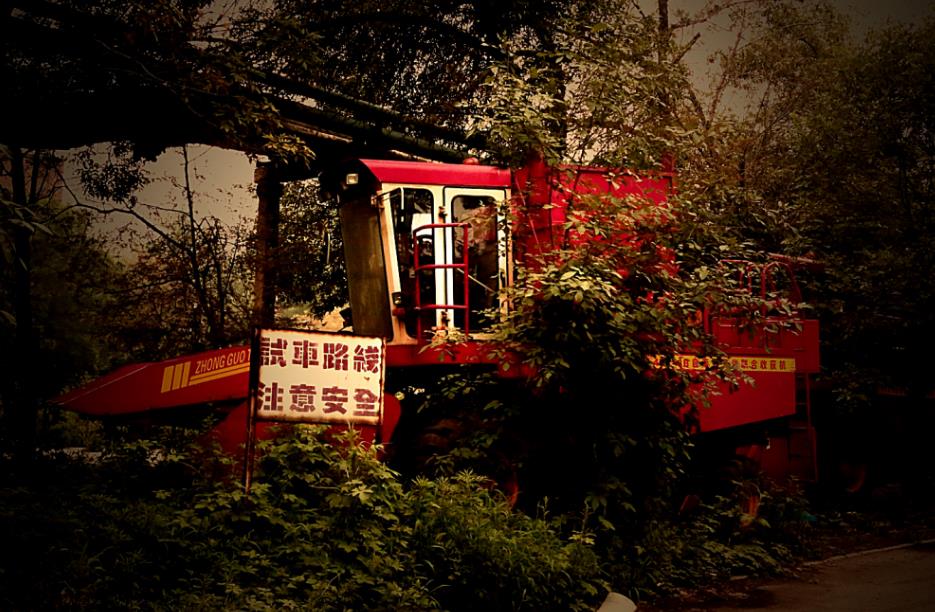 天津相声演员丁文元,天津小伙丁文元