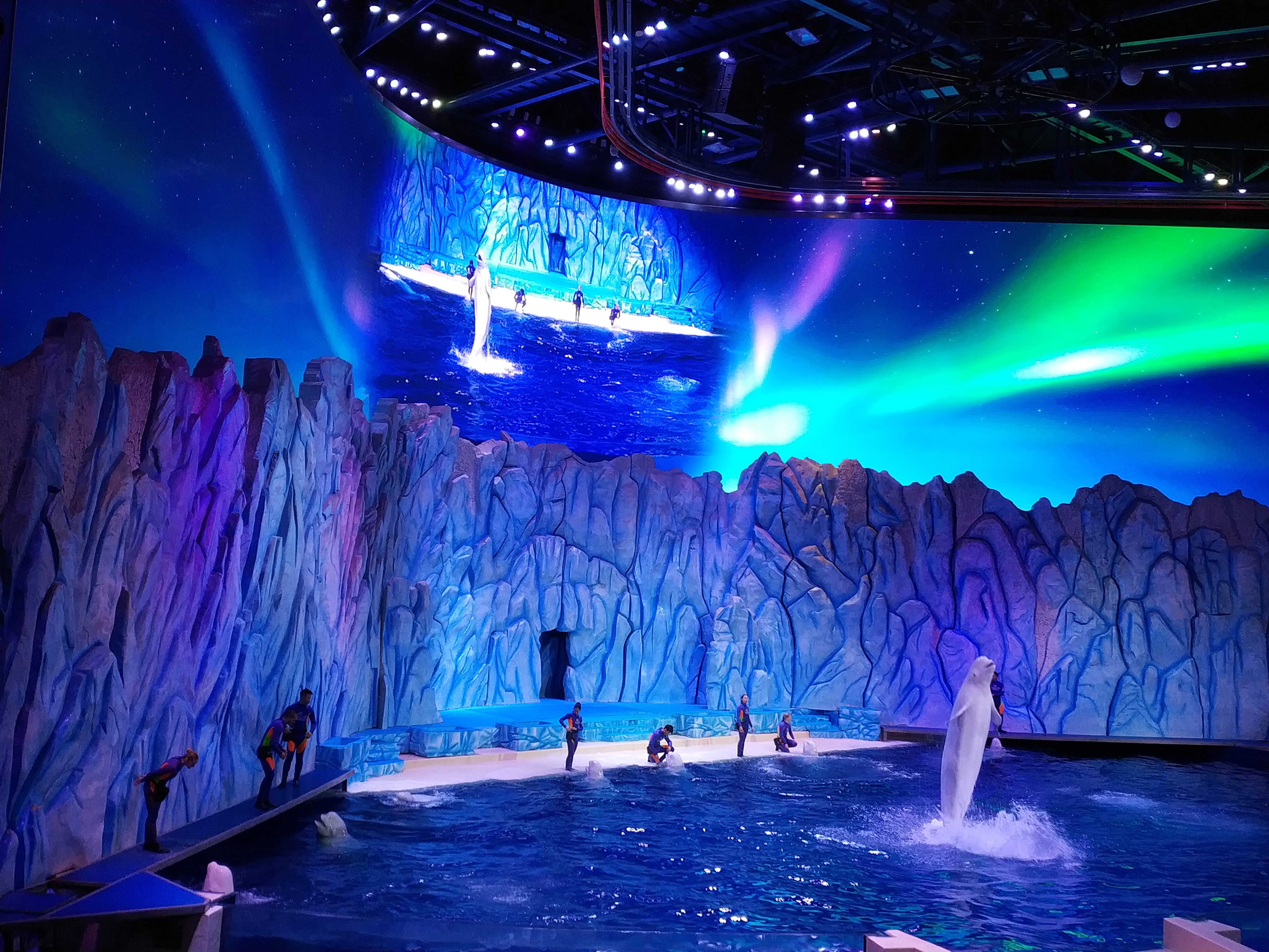 自驾珠海长隆最全游玩攻略,广州自驾游珠海长隆