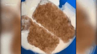 澳妈打开一盒牛奶，竟瞬间凝结成块：太恶心了，毁了一顿早餐