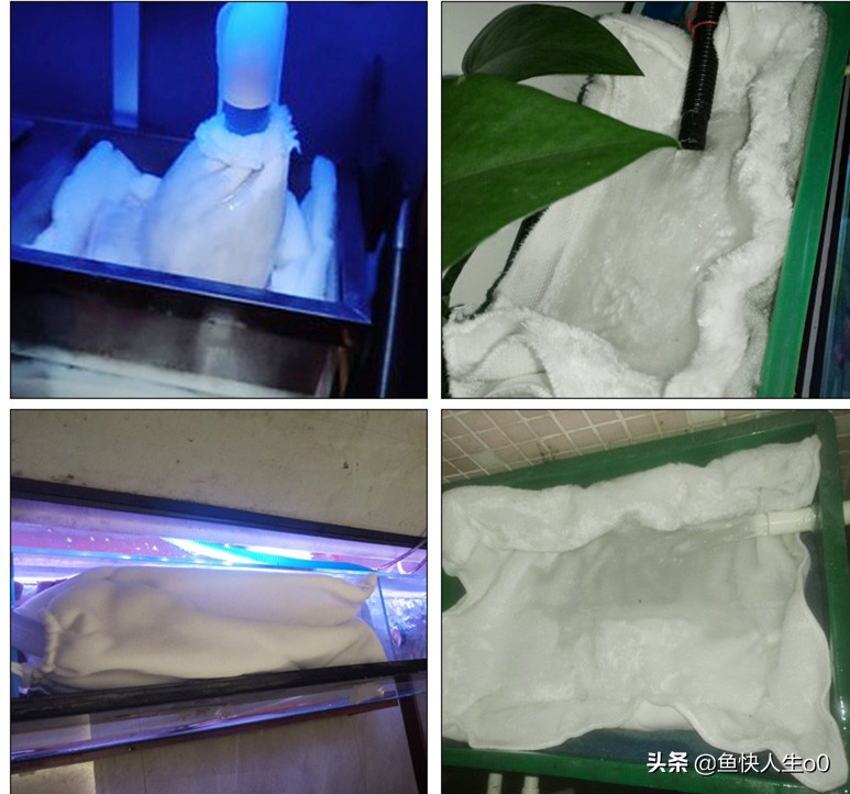 清洗鱼缸过滤棉用什么水最好,怎么清洗鱼缸过滤棉更干净