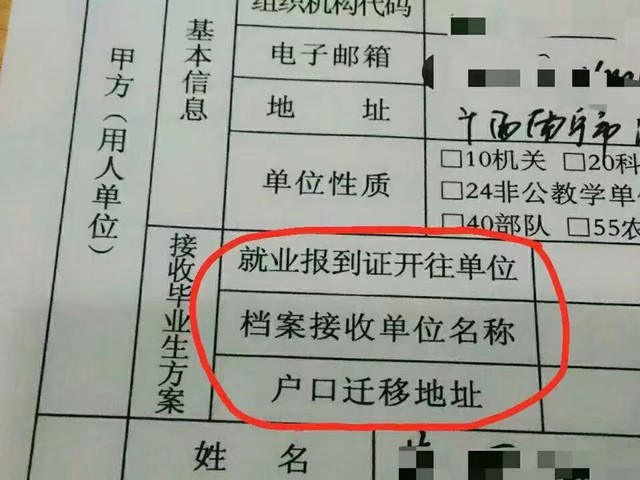 怎么知道你是大学生,大学生毕业后怎么样才算是应届生
