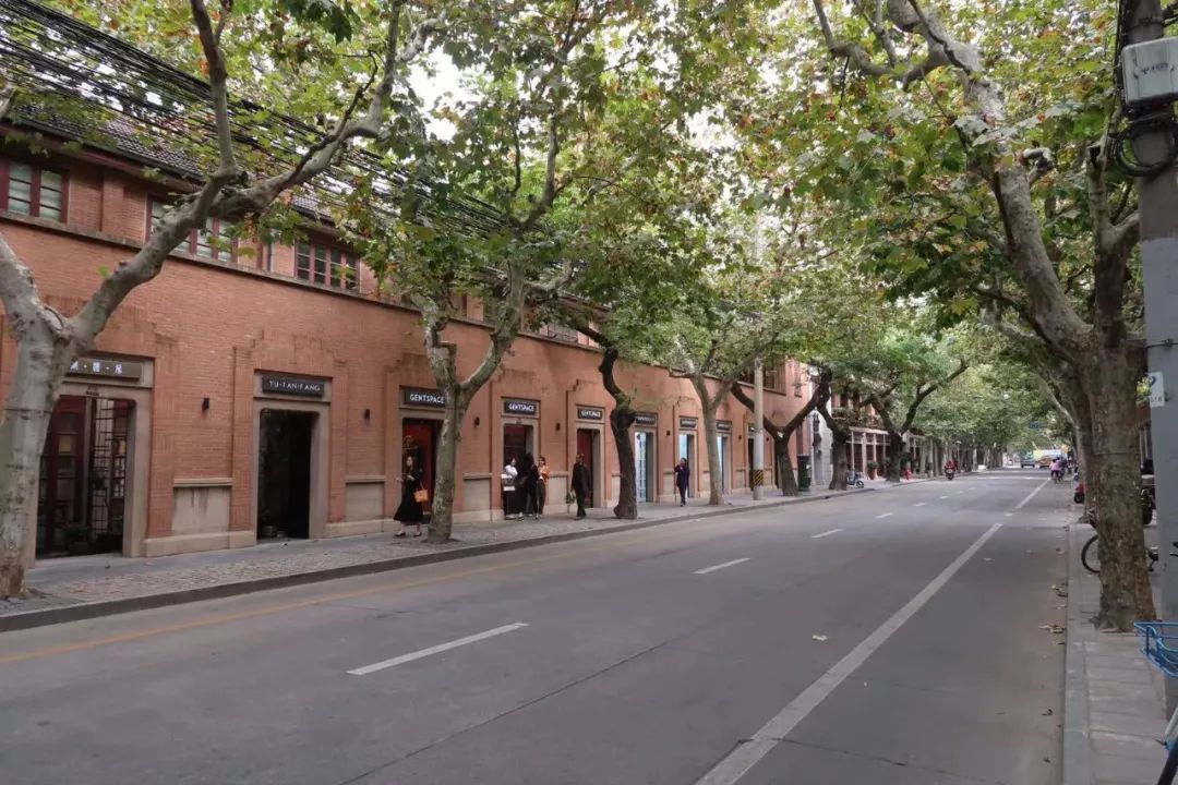 魔都这些秋日网红马路，不仅好看还很好吃