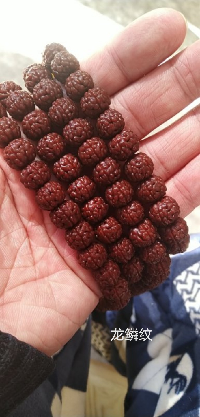 印尼金刚菩提是落地红吗,金刚菩提印尼跟尼泊尔