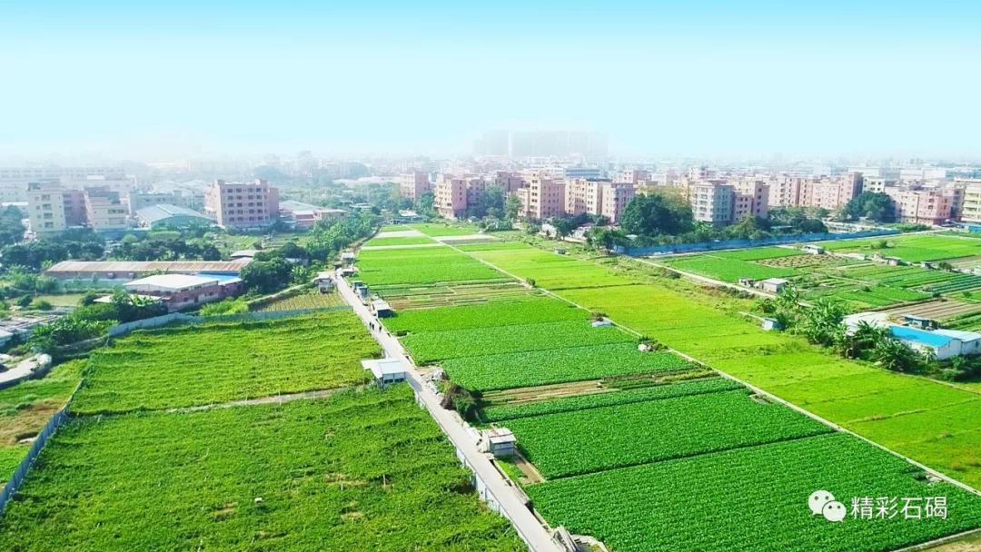 东莞市中国百强镇2021排名,东莞15镇入围全国百强镇榜单