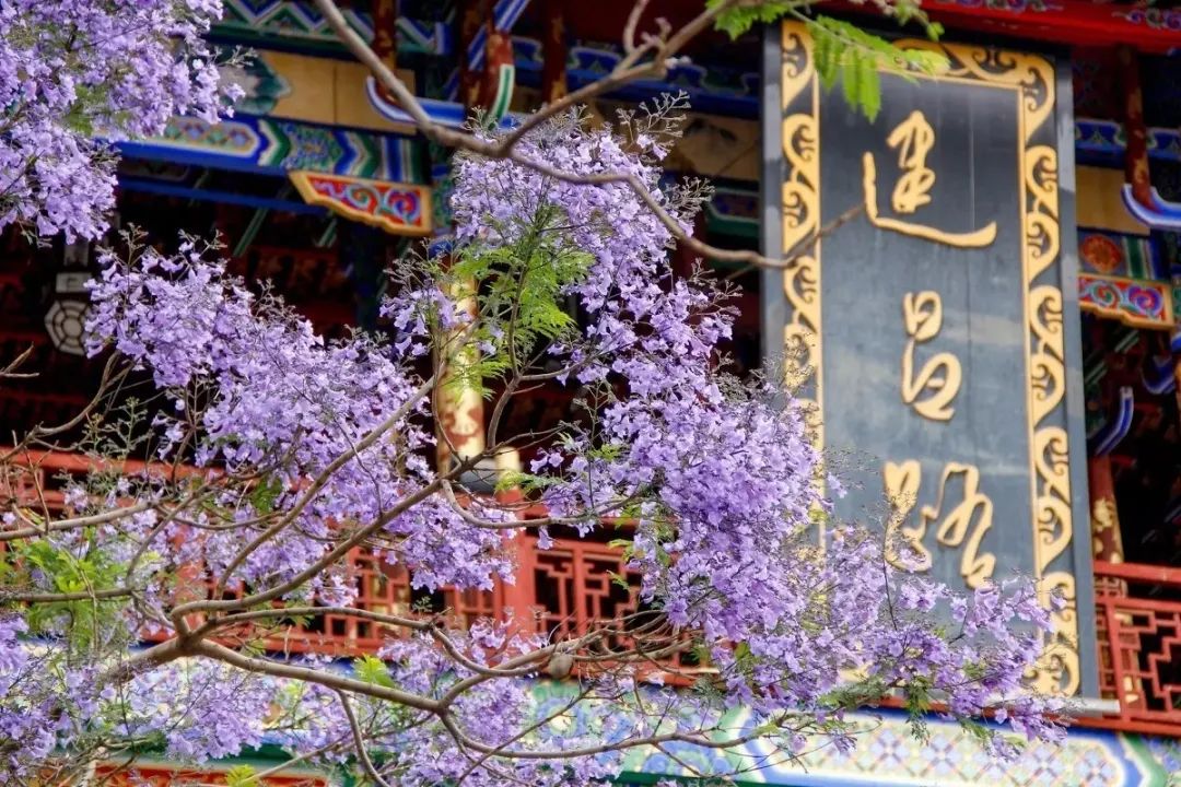 因为一首歌而爆火的城市,靠着一首歌走红的人