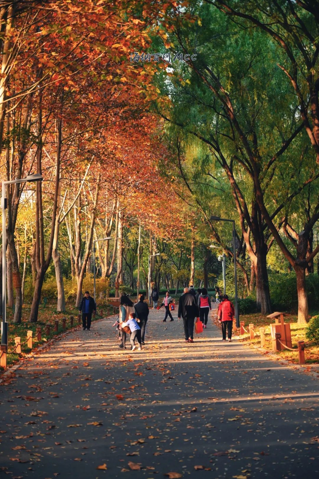 去济南的旅游景点推荐一下,济南五一必去十大网红景点