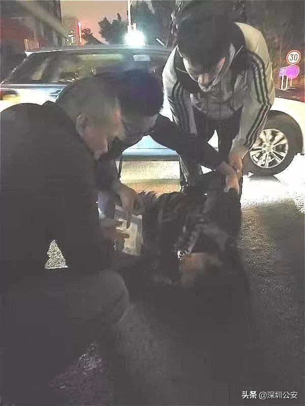 腿都断了,腿都快断了