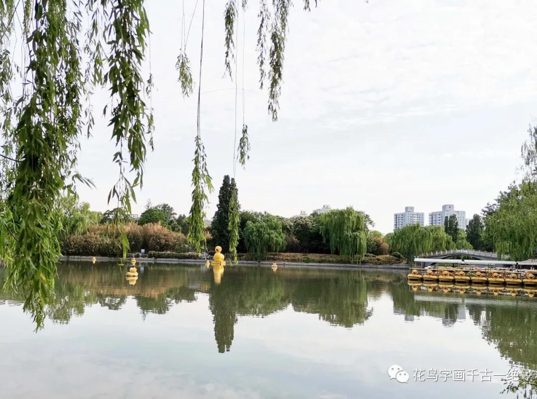 北京紫竹院公园对联,名山古寺书法对联欣赏