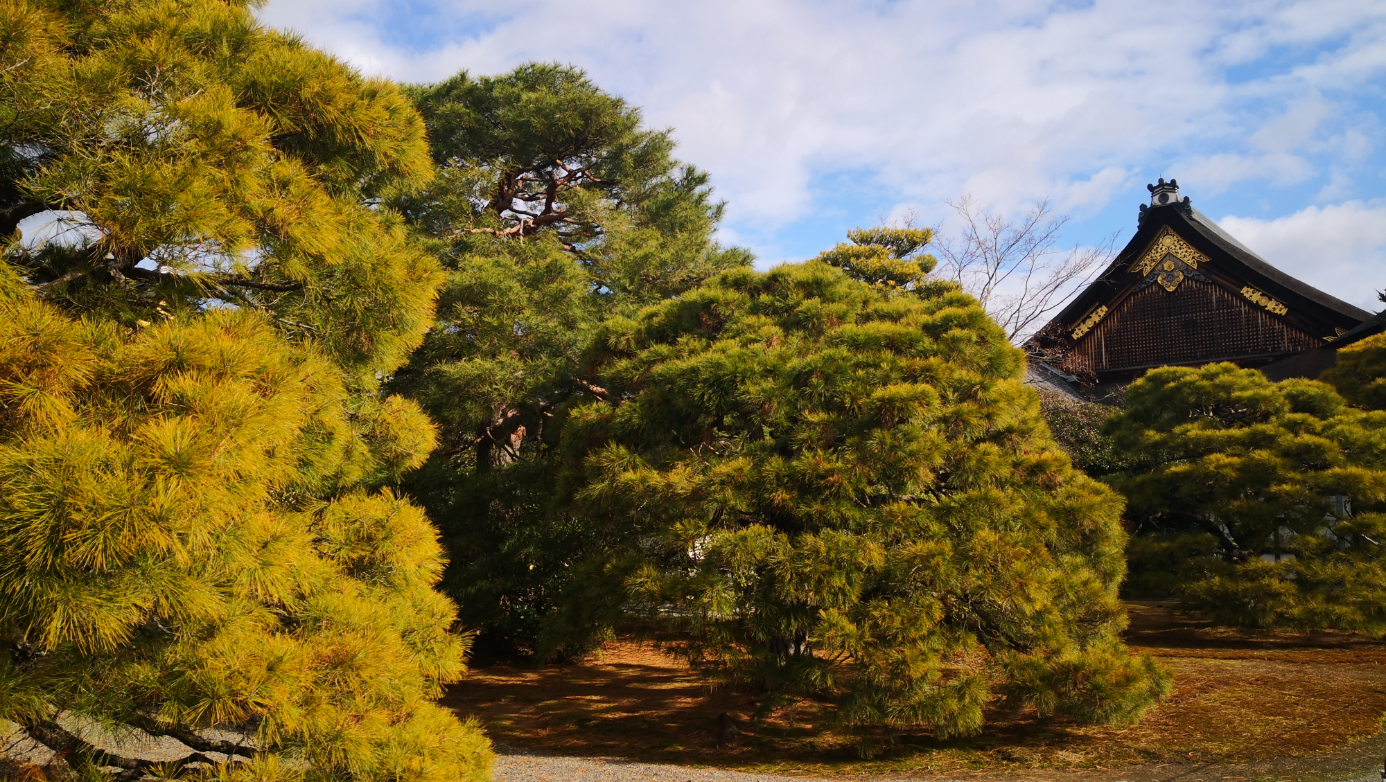 探访日本皇宫,京都旅行京都御所