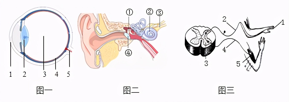 临沂市生物实验操作考试视频,临沂物理实验操作考试试题