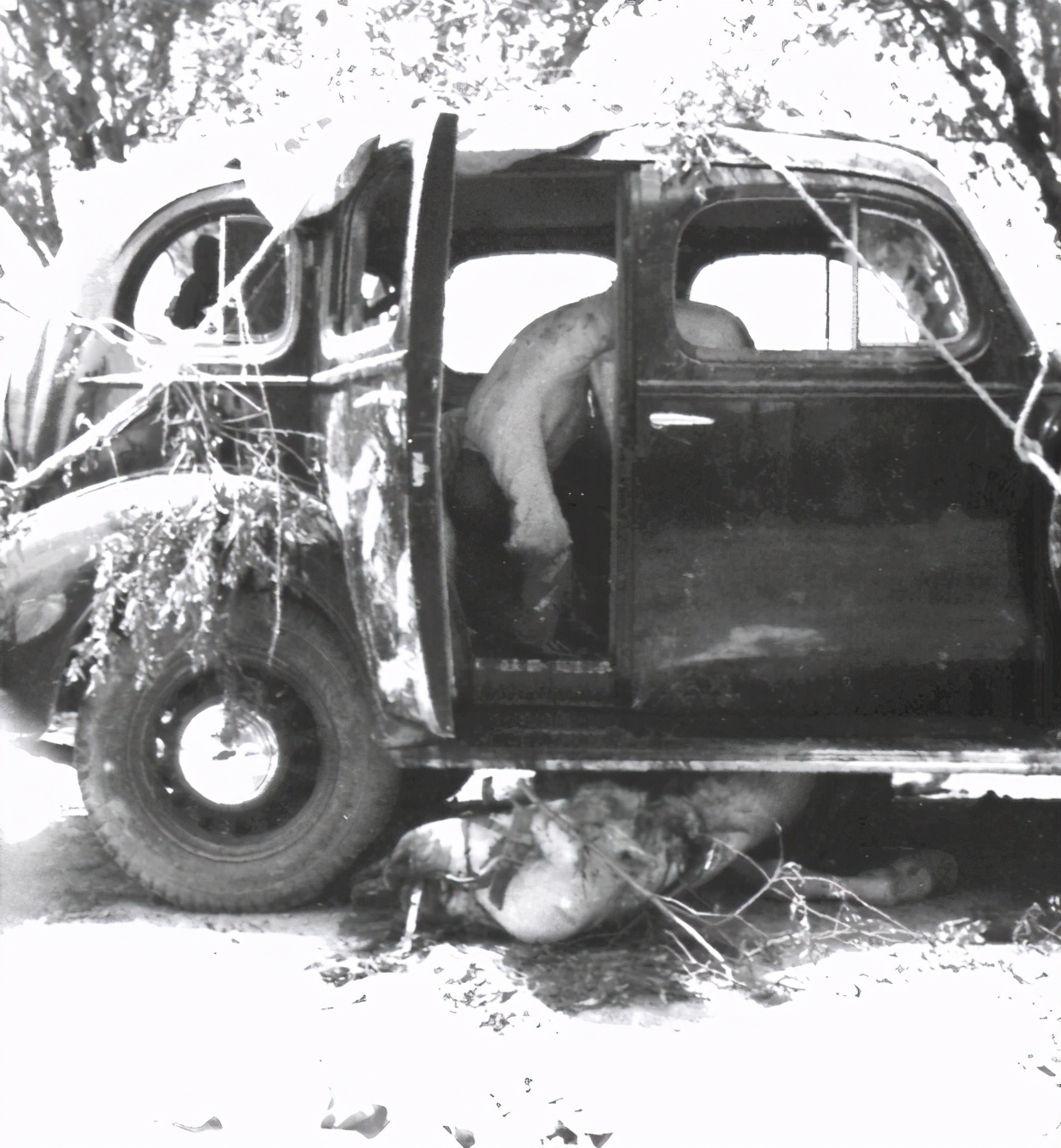 七七事变难得一见的历史老照片,七七事变中国将士的图片