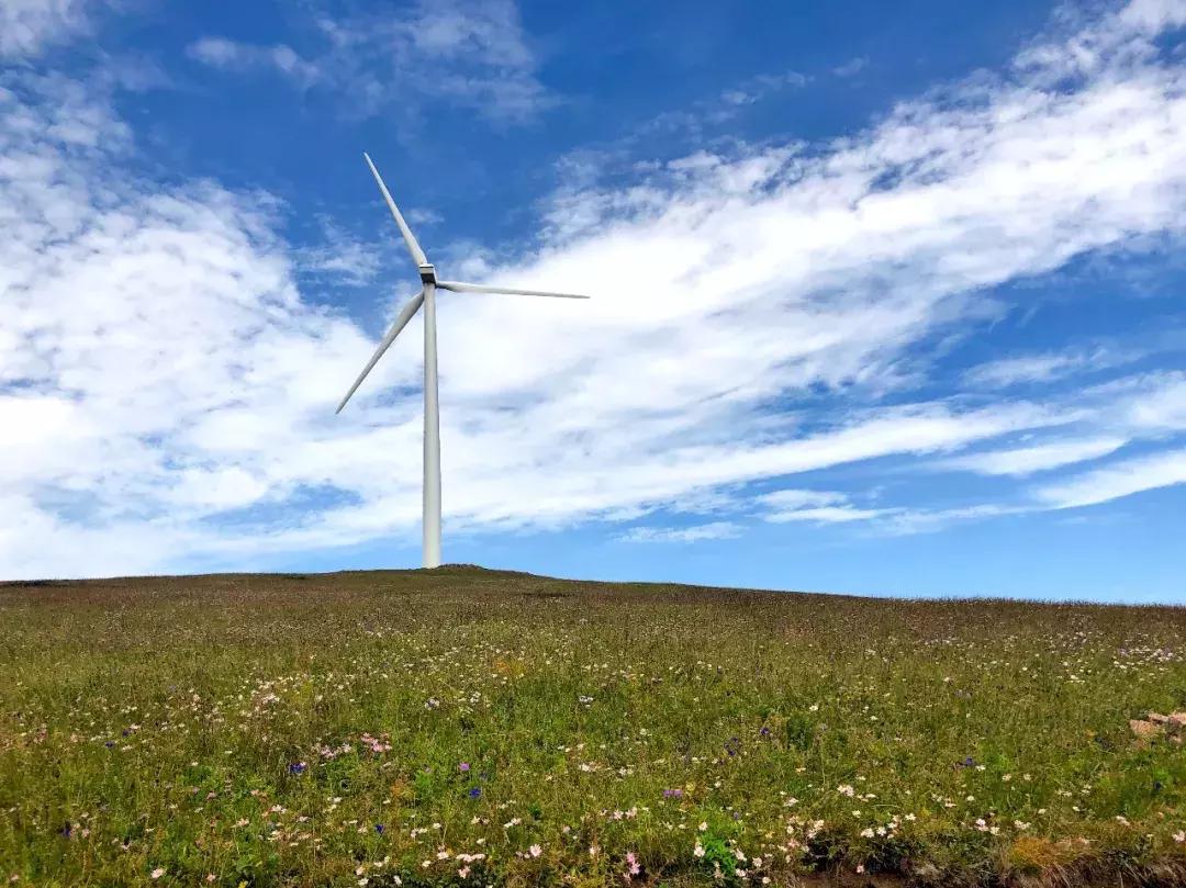 丰宁千松坝秋色,天凉好个秋拍摄