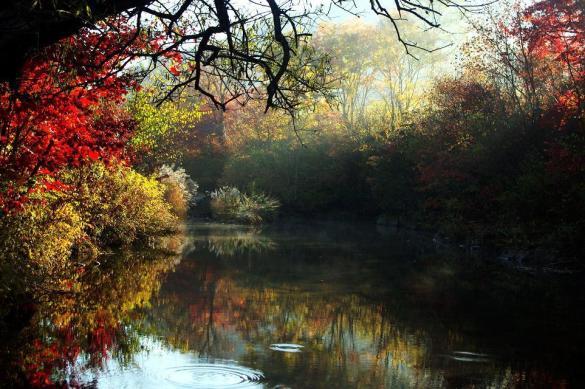 十一沿途风景,十一去红叶谷的景致