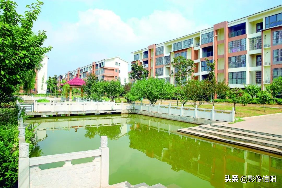 社区创建文明城市名单公示,平桥区全国文明城市创建