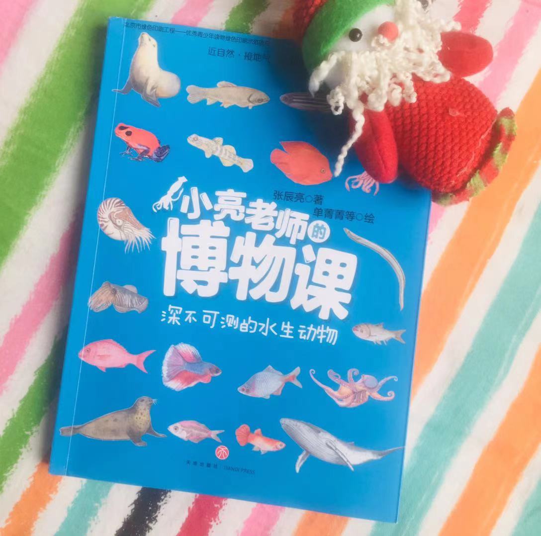 新手最好养的鱼有哪些 (什么鱼好养适合小孩养)