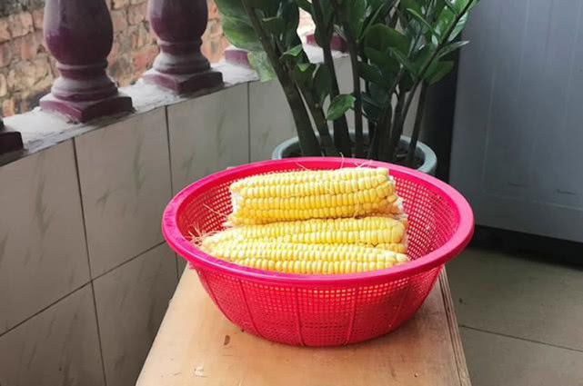 鱼为什么喜欢吃麦子,鱼为什么喜欢吃虾饵