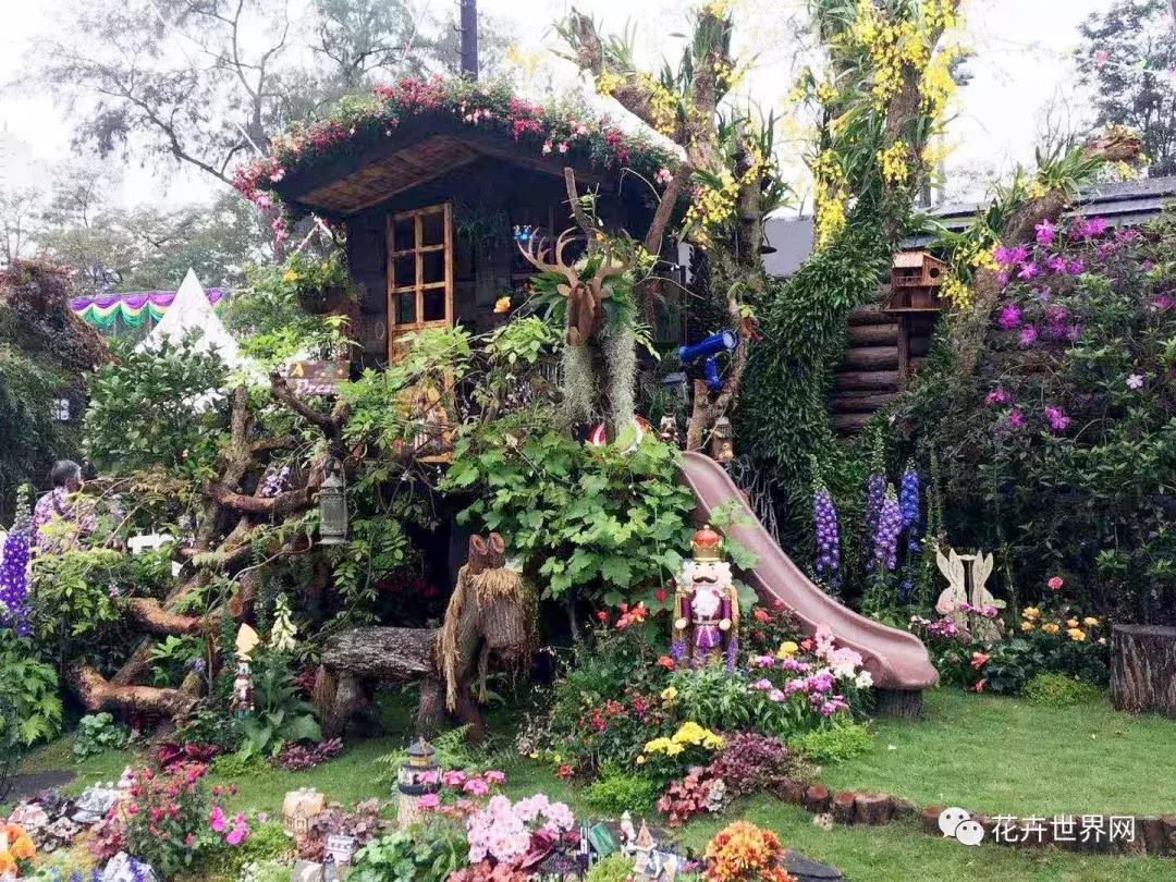 共赴盛会活动,香港国际花卉展