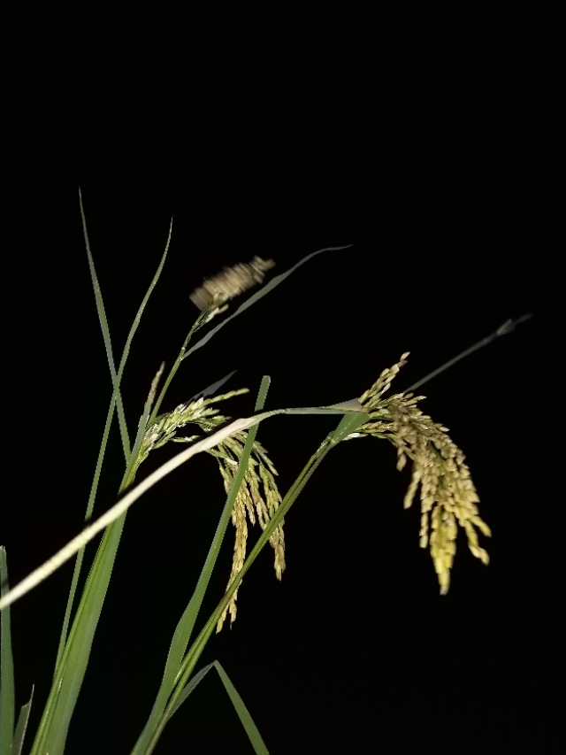坐在板凳上沉思的影视剧,不要坐在板凳上陷入沉思好吗