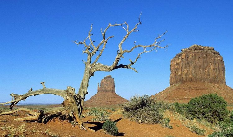 教改20年，三线以下城乡素质教育的问题和希望（原创