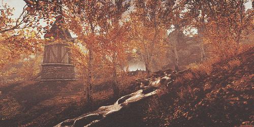 豆瓣9.3分这对夫妻打造1200亩生态农场，“堪称美版「李子柒」”