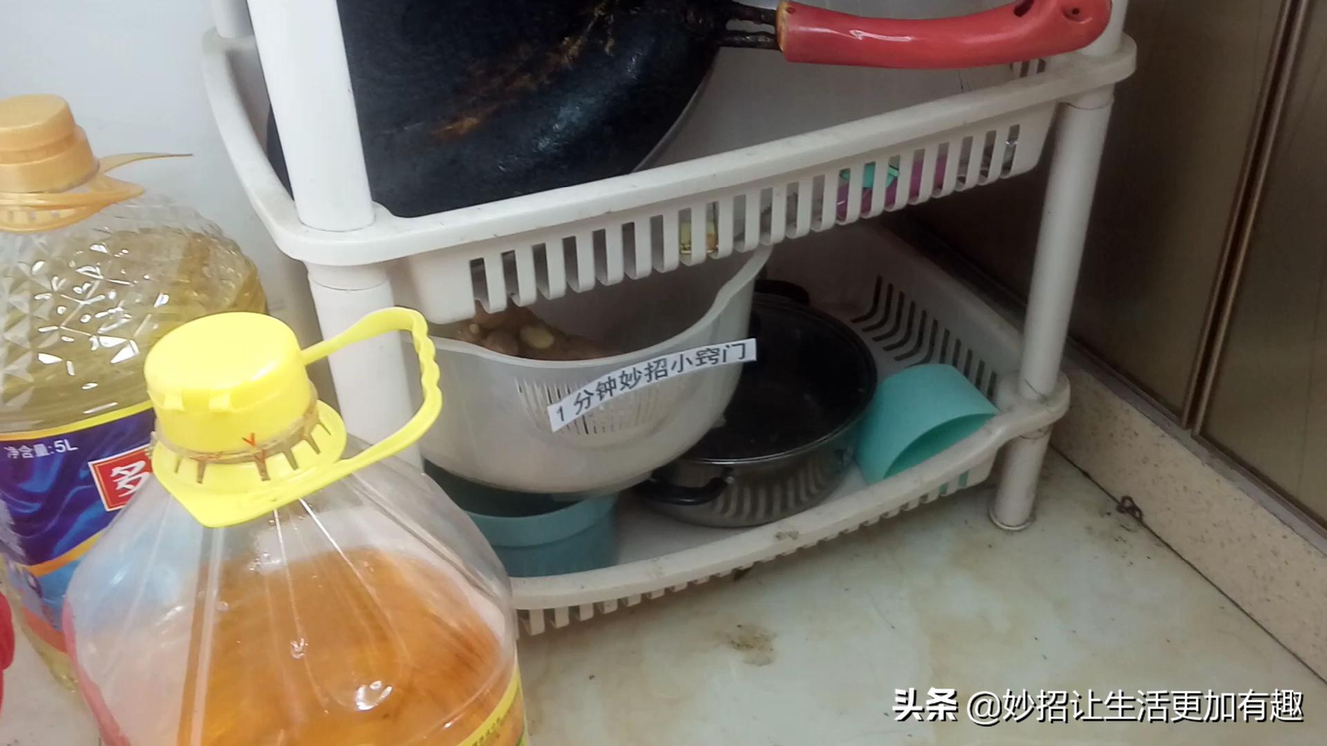 家里有蟑螂怎么办蟑螂要怎样灭,家里发现蟑螂怎么办如何快速消灭