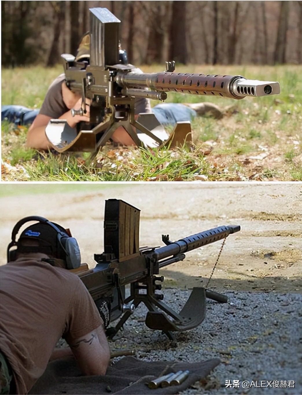 最大口径大象步枪,步枪大象