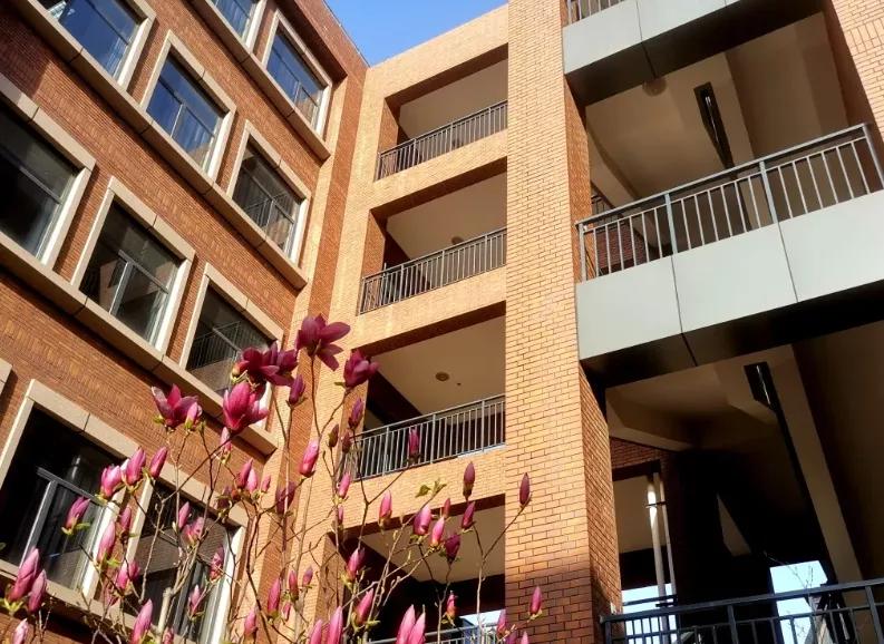 石家庄二中南校区怎么样,石家庄二中怎么样好不好