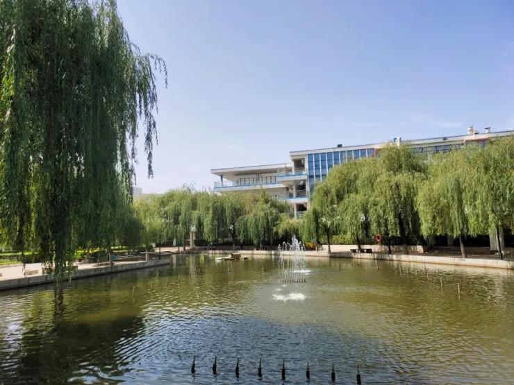 郑州2020中考省重点高中分数线,郑州各高中中招录取线